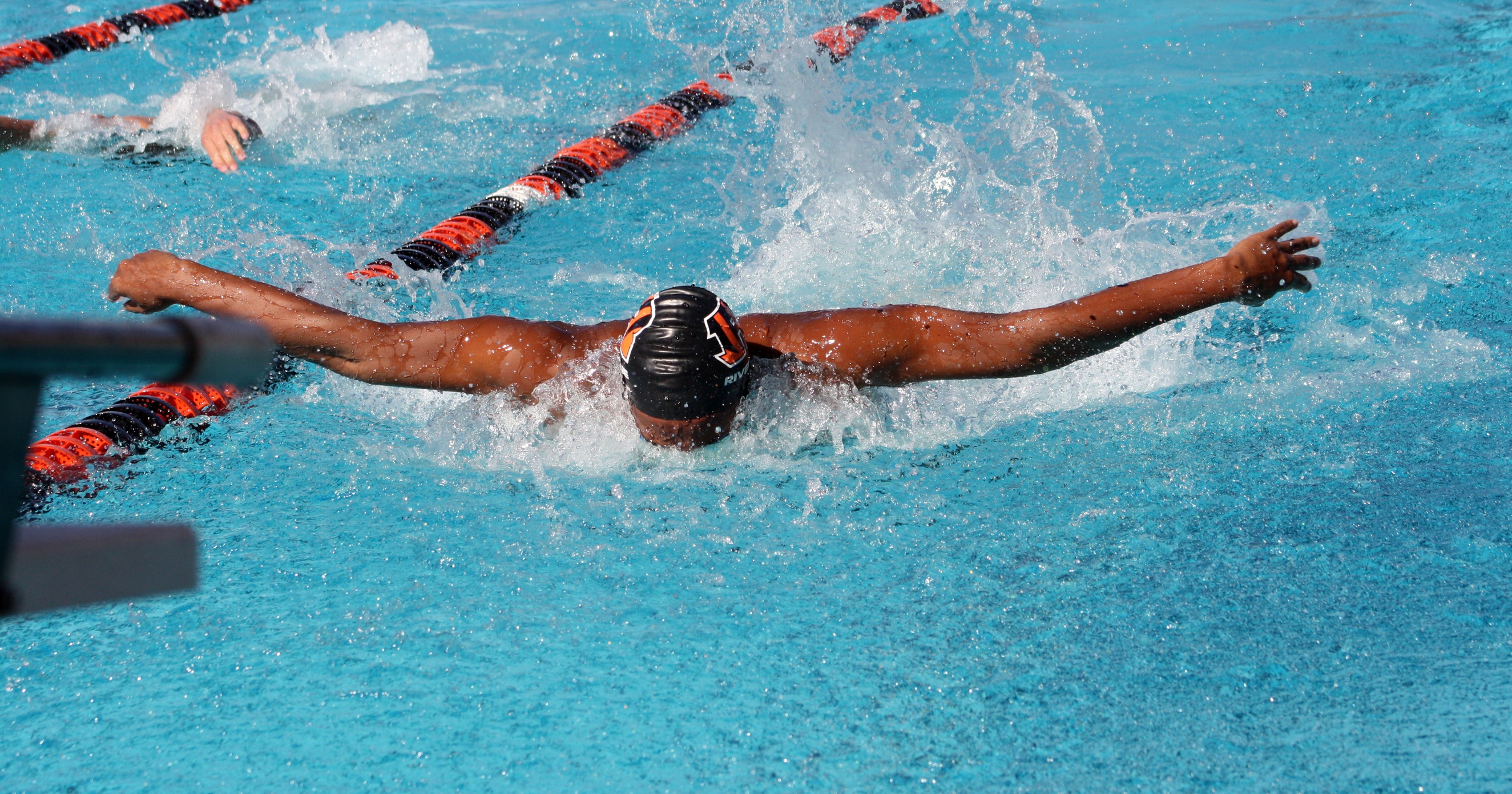 Men’s Swimming & Diving Placed Third Overall at OEC Championships